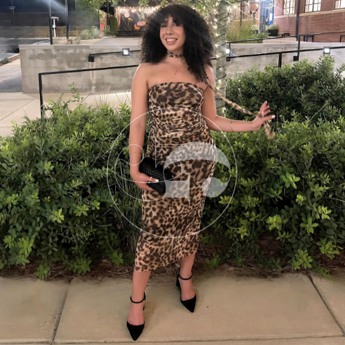 Combo set LEO Print SKIRT & TOP